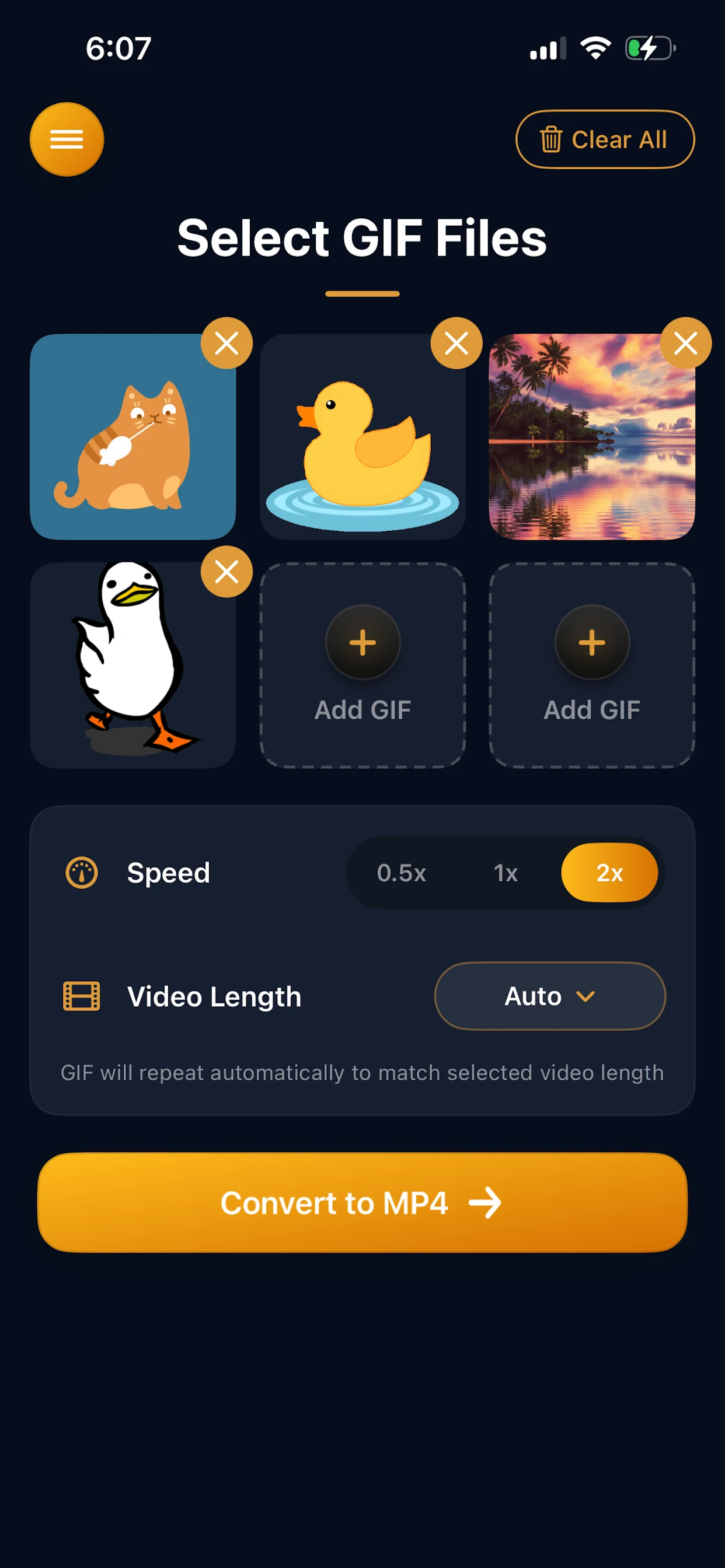 GIF to Video Converter screenshot